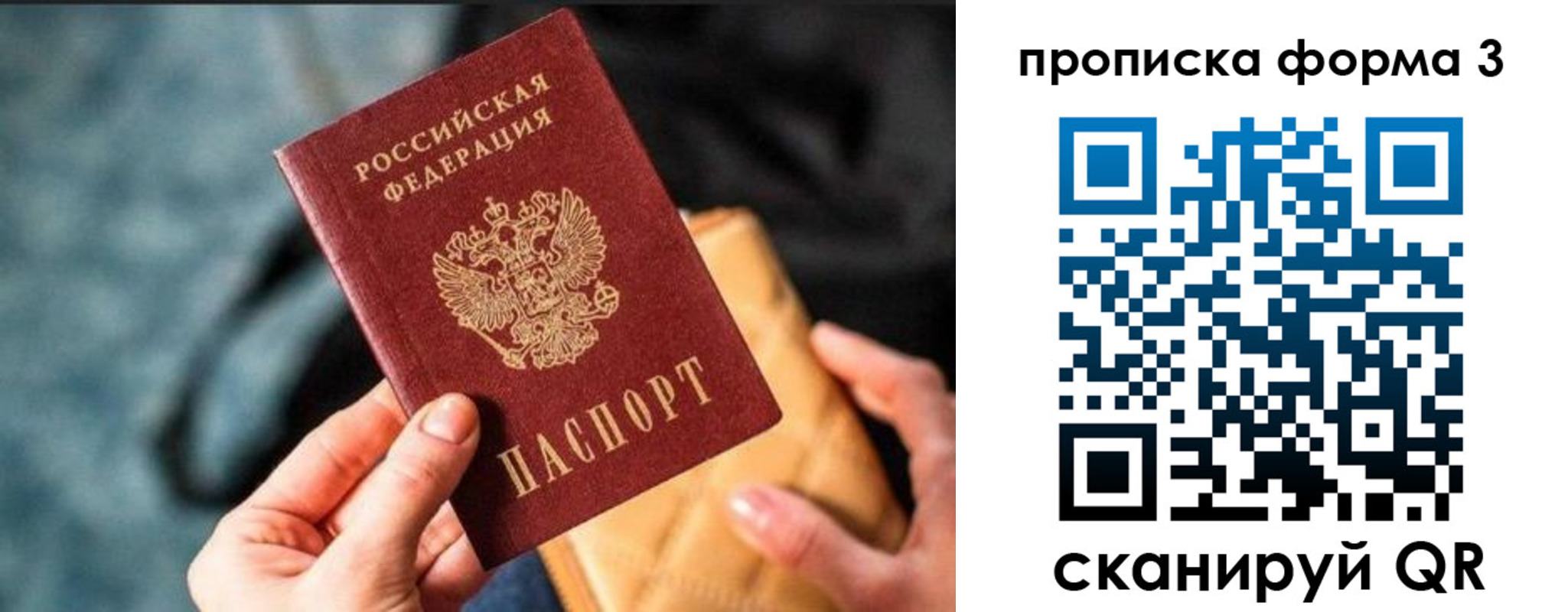 прописка гарантия в Светлограде